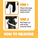 $2 OFF! Bark Appeal Step - in Dog Harness, Anti - Choke, Adjustable Strap, Heavy Duty Clip • 4 Colors, 4 Sizes - Glad Dogs Nation | ALL Profits Donated