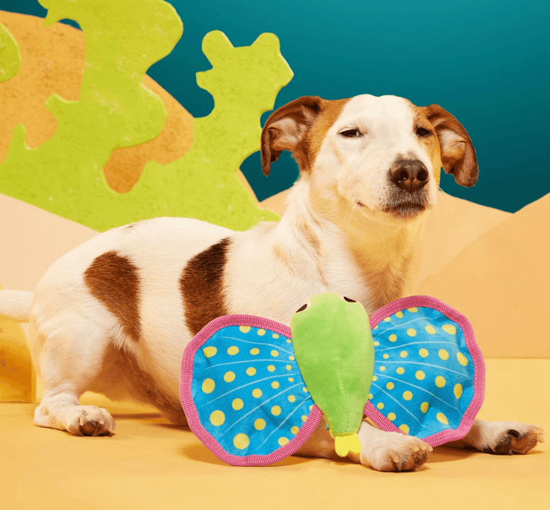 $2 OFF! BARK Freddy the Flying Fish Dog Toy: 2 Squeakers + Crinkle - Glad Dogs Nation | ALL Profits Donated