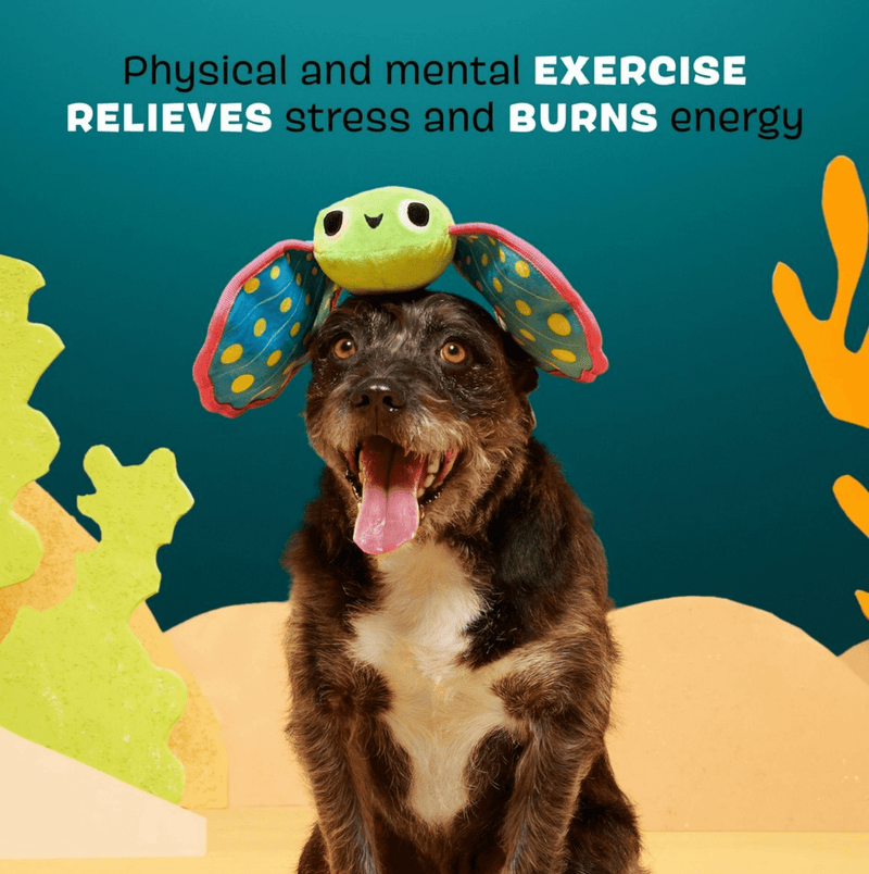 $2 OFF! BARK Freddy the Flying Fish Dog Toy: 2 Squeakers + Crinkle - Glad Dogs Nation | ALL Profits Donated