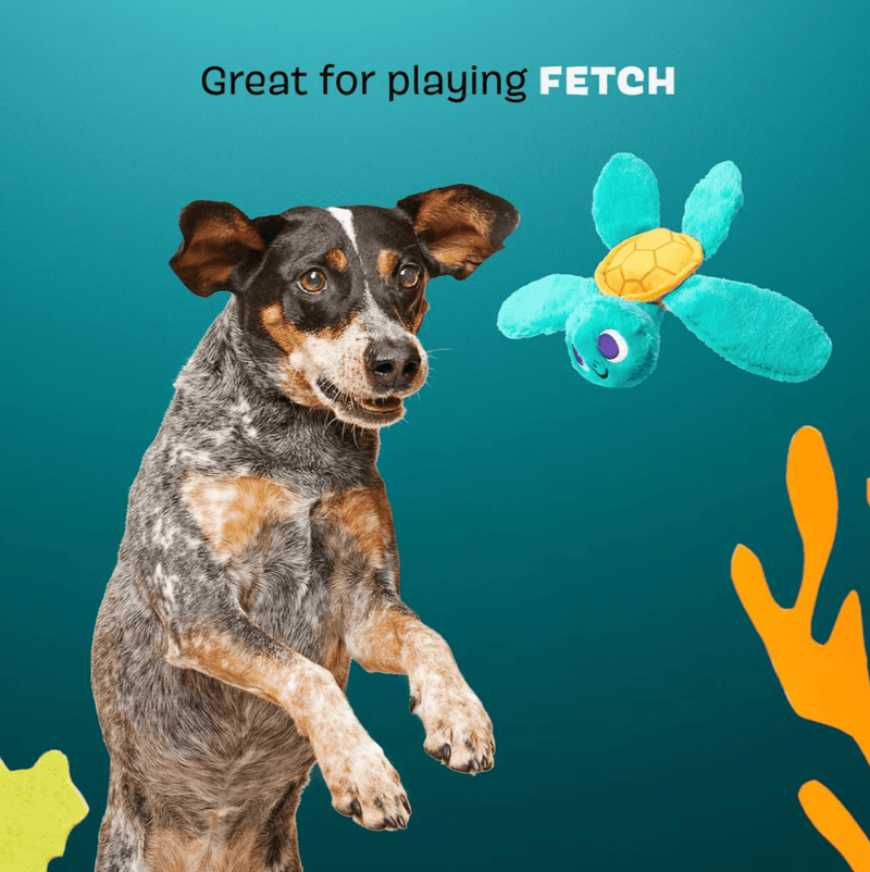 $2 OFF! BARK Stevie Sea Turtle Crinkly Squeaky Plush Dog Toy for Small Dogs - Glad Dogs Nation | ALL Profits Donated