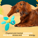 $2 OFF! BARK Stevie Sea Turtle Crinkly Squeaky Plush Dog Toy for Small Dogs - Glad Dogs Nation | ALL Profits Donated