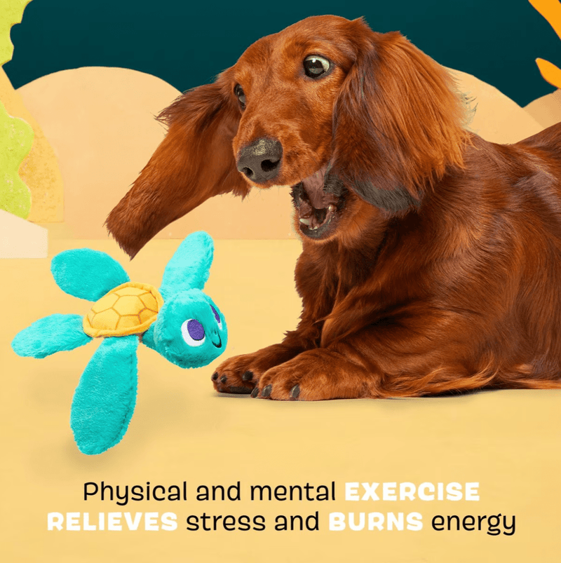 $2 OFF! BARK Stevie Sea Turtle Crinkly Squeaky Plush Dog Toy for Small Dogs - Glad Dogs Nation | ALL Profits Donated