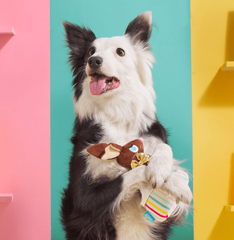 20% OFF! BARK Lil' Bunny Chew Chew Easter Chocolate Bunny Plush Dog Toy - Glad Dogs Nation | ALL Profits Donated