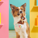 20% OFF! BARK Lil' Bunny Chew Chew Easter Chocolate Bunny Plush Dog Toy - Glad Dogs Nation | ALL Profits Donated