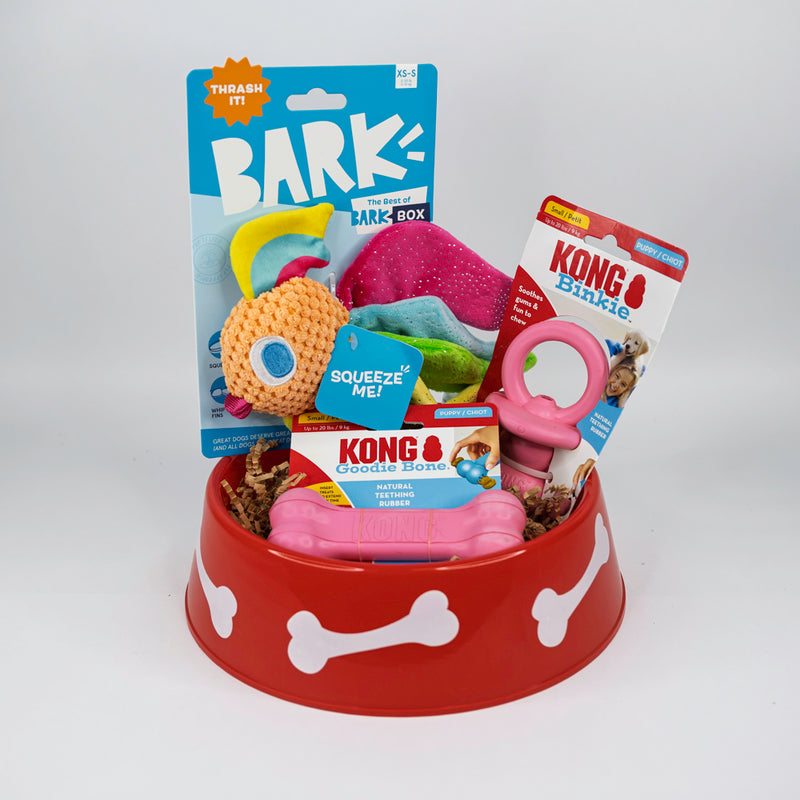 Tickled Pink SQUEAKY & Chewy Dog & Puppy Gift Basket / BARK, Kong