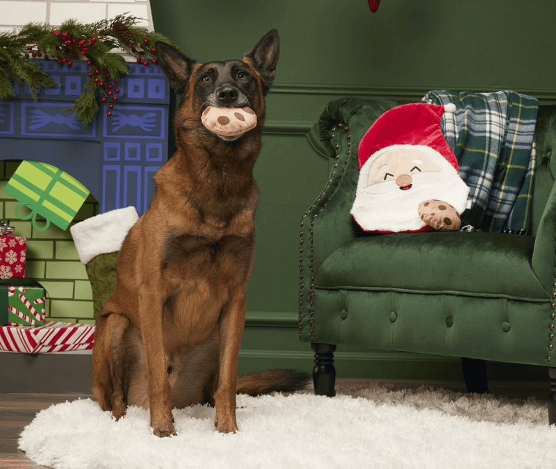 $3 OFF! BARK Kris Krumble Plush Dog Toy for Large & XLarge Dogs - Glad Dogs Nation | ALL Profits Donated