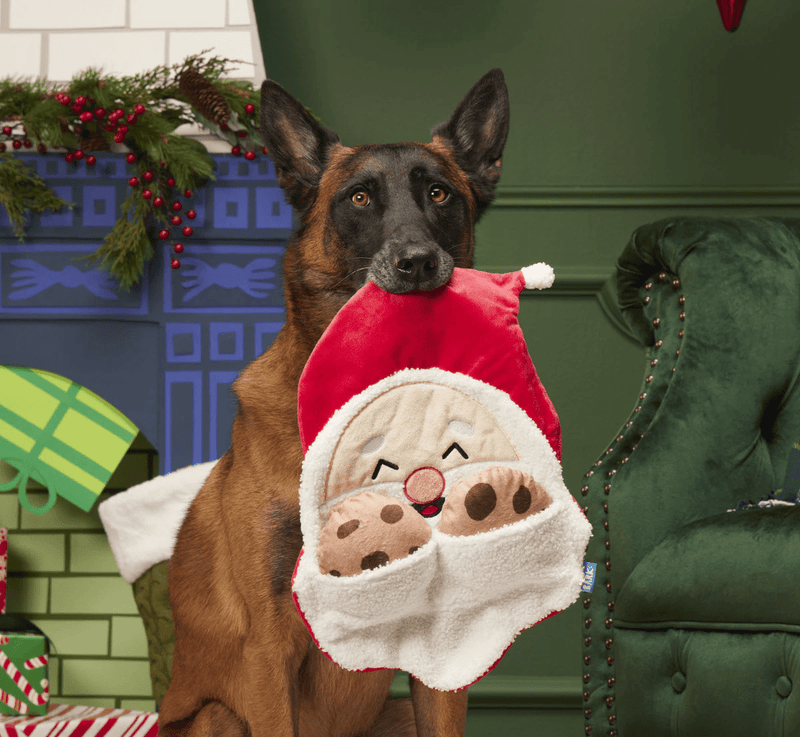 $3 OFF! BARK Kris Krumble Plush Dog Toy for Large & XLarge Dogs - Glad Dogs Nation | ALL Profits Donated