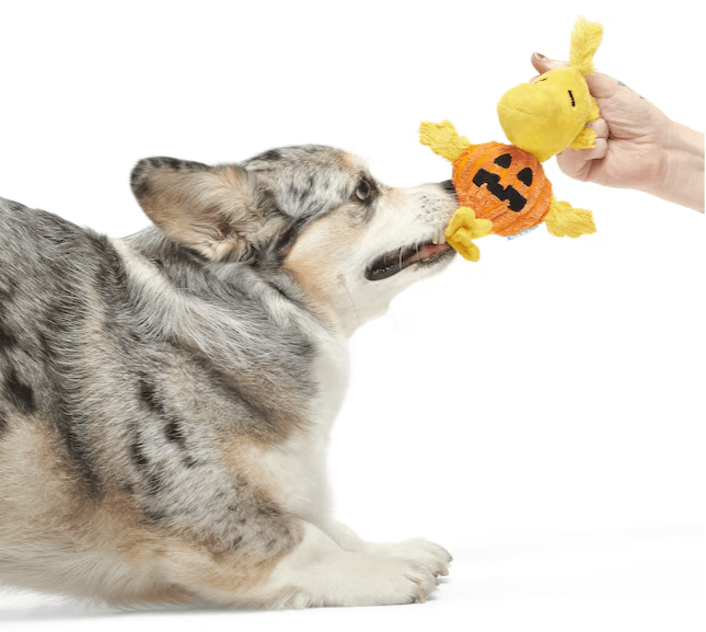 $3 OFF! BARK Peanuts Woodstock Pumpkin Halloween Plush Dog Toys XS - S - Glad Dogs Nation | ALL Profits Donated
