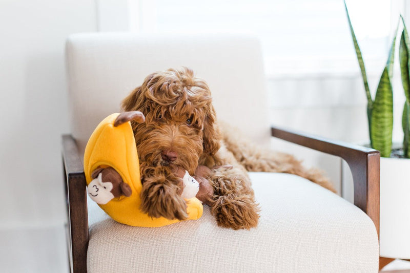 $3 OFF! ZippyPaws Zippy Burrow® Monkeys ‘n Banana - Glad Dogs Nation | ALL Profits Donated