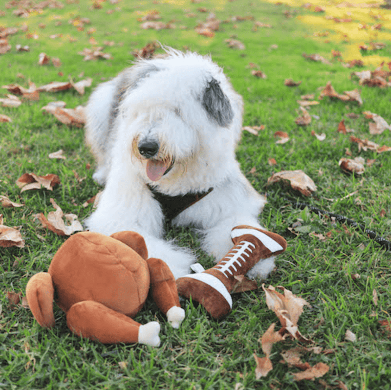 30% OFF! Lulubelles Football Bone Power Plush Squeak & Crinkle Dog Toy: 2 Sizes - Glad Dogs Nation | ALL Profits Donated