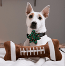30% OFF! Lulubelles Football Bone Power Plush Squeak & Crinkle Dog Toy: 2 Sizes - Glad Dogs Nation | ALL Profits Donated