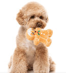44% OFF! FuzzYard Fred The Gingerbread Plush Squeaky Dog Toy: 2 Sizes - Glad Dogs Nation | ALL Profits Donated