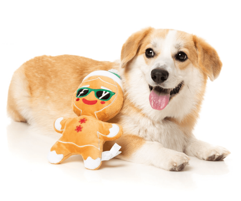 48% - 58% OFF! FuzzYard Dog Toy Squeaky Jolly Gingergal: 2 Sizes - Glad Dogs Nation | ALL Profits Donated