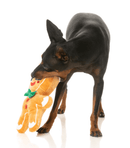 48% OFF! FuzzYard Dog Toy Squeaky Jolly Gingerboi for Large Dogs - Glad Dogs Nation | ALL Profits Donated