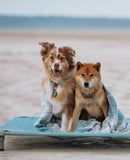 4Legs4Pets Elevated Pet Bed Raised Cot: 30"x22", Holds up to 130 lbs. - Glad Dogs Nation | ALL Profits Donated