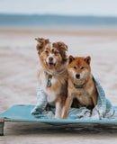 4Legs4Pets Elevated Pet Bed Raised Cot: 40"x30", Holds up to 120 lbs. - Glad Dogs Nation | ALL Profits Donated