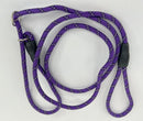 5 Foot Reflective Slip Lead Dog Leash: 8 Colors - Glad Dogs Nation | ALL Profits Donated