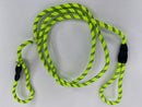5 Foot Reflective Slip Lead Dog Leash: 8 Colors - Glad Dogs Nation | ALL Profits Donated