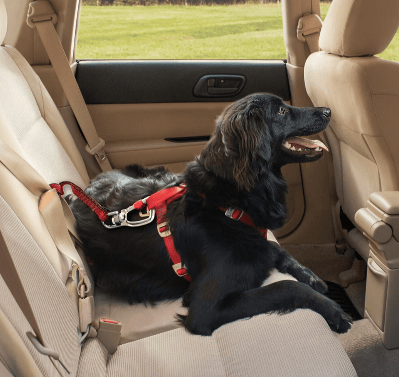 $5 OFF! Kurgo Swivel Seat - Belt Tether Safe Travel Tool for Dogs - Glad Dogs Nation | ALL Profits Donated