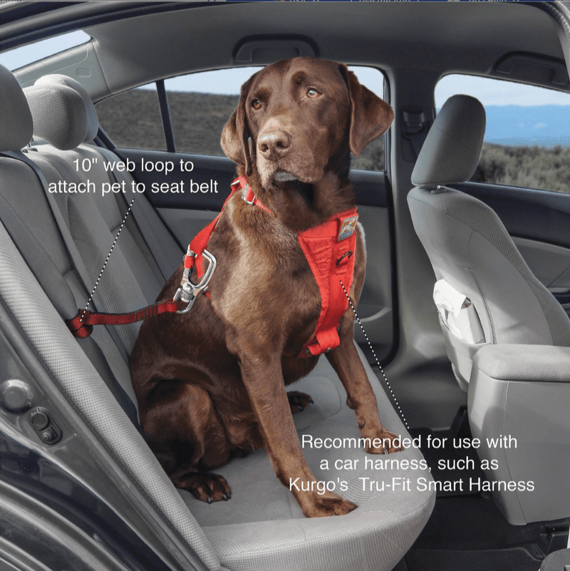 $5 OFF! Kurgo Swivel Seat - Belt Tether Safe Travel Tool for Dogs - Glad Dogs Nation | ALL Profits Donated