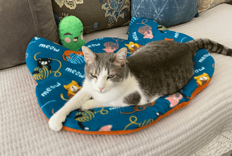 $5 OFF! Screaming Pickles Handmade Cat - Head Shaped Blue Fleece Pet Bed Cozy Mat: Kittens with Yarn - Glad Dogs Nation | ALL Profits Donated