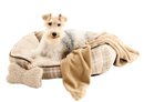 $5 OFF! Style Selections Rectangular Tan Plaid Bolster with Blanket & Plush Bone - Glad Dogs Nation | ALL Profits Donated