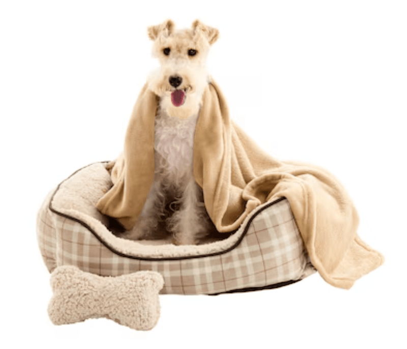 $5 OFF! Style Selections Rectangular Tan Plaid Bolster with Blanket & Plush Bone - Glad Dogs Nation | ALL Profits Donated