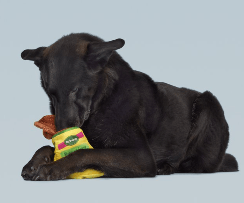 50% OFF! BARK Diggin' Dirt Pawting Mix Dog Toy with Crinkle and Squeaker - Glad Dogs Nation | ALL Profits Donated