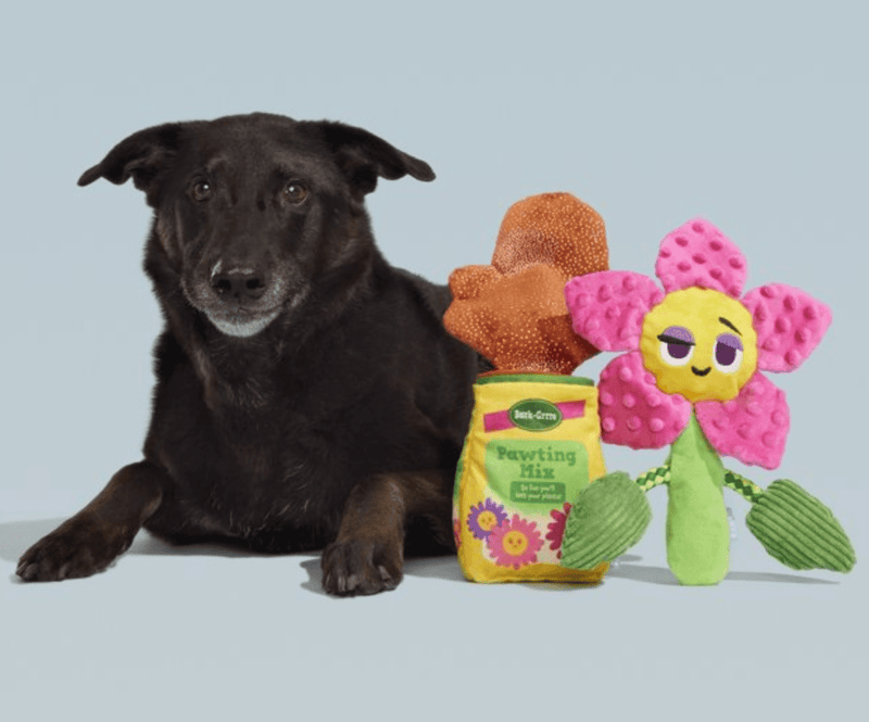 50% OFF! BARK Diggin' Dirt Pawting Mix Dog Toy with Crinkle and Squeaker - Glad Dogs Nation | ALL Profits Donated