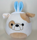 50% OFF! MEDIUM Easter & Spring Plush Squeaky Toy for Dogs - Glad Dogs Nation | ALL Profits Donated
