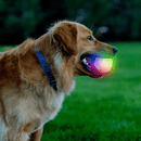 50% OFF! Nite Ize GlowStreak Wild LED Ball - Disc - O Dog Toy - Glad Dogs Nation | ALL Profits Donated