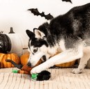 50% OFF! PetShop by Fringe Studio It's Alive Plush Squeaky Dog Toy - Glad Dogs Nation | ALL Profits Donated