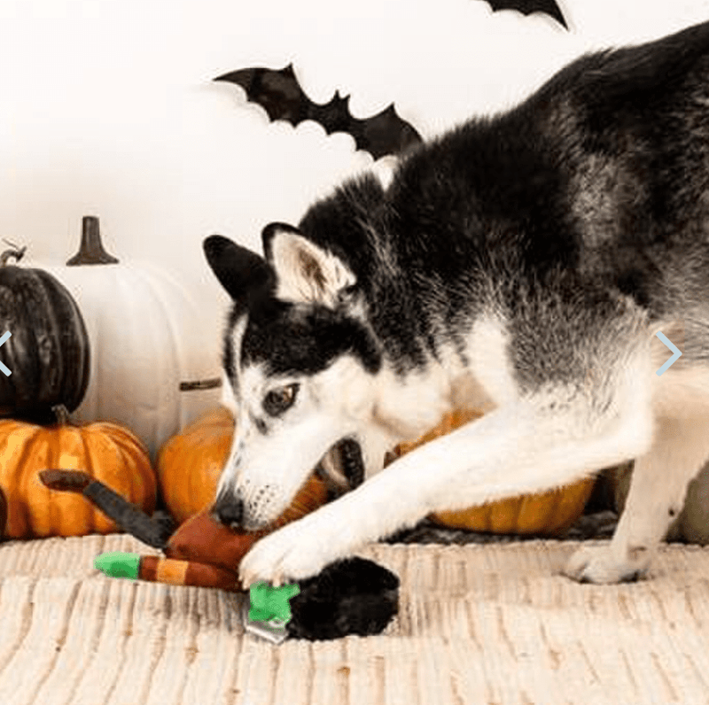 50% OFF! PetShop by Fringe Studio It's Alive Plush Squeaky Dog Toy - Glad Dogs Nation | ALL Profits Donated