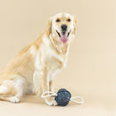 50% OFF! Petshop By Fringe Studio Pulling You In Celestial Canvas Dog Toy - Glad Dogs Nation | ALL Profits Donated