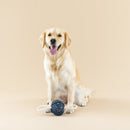 50% OFF! Petshop By Fringe Studio Pulling You In Celestial Canvas Dog Toy - Glad Dogs Nation | ALL Profits Donated