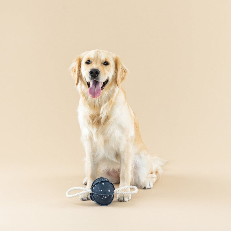 50% OFF! Petshop By Fringe Studio Pulling You In Celestial Canvas Dog Toy - Glad Dogs Nation | ALL Profits Donated