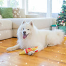 Outward Hound Squawkers Christmas Latex Rubber Chicken: Earl