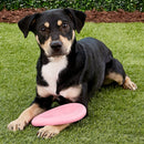 KONG Puppy Flyer Dog Toy: Pink / CHEAPER THAN CHEWY!