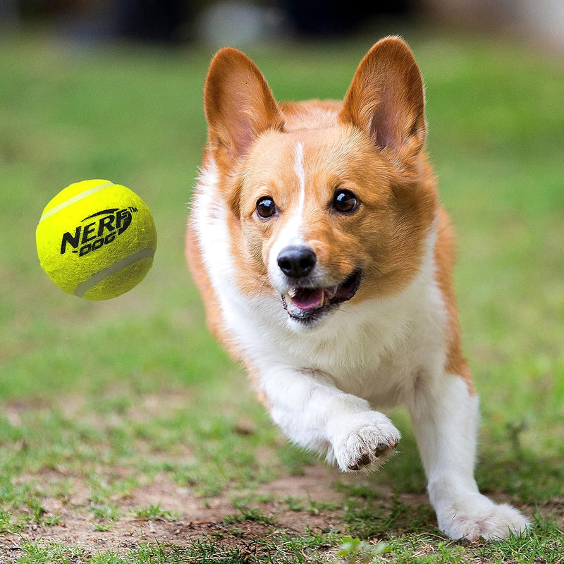 Nerf Dog Translucent Tennis Ball Blaster with 3 Balls New