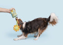 BARK Funflower Seeds Rope Dog Toy