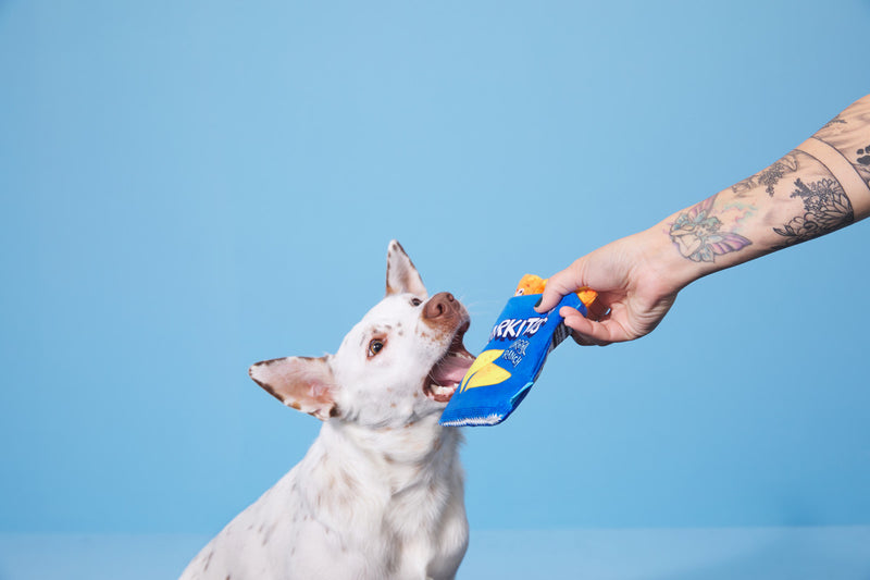 BARK Drool Ranch Chips 3-Piece Dog Toy