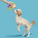 $1 OFF! BARK Ahi Tina Plush Dog Toy for Thrashers