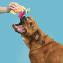 $1 OFF! BARK Ahi Tina Plush Dog Toy for Thrashers