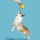 BARK Mai Tail Plush Dog Toy