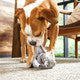 BARK Hare Raiser Rabbit Rubber Super Chewer Dog Toy Grey Medium/Large