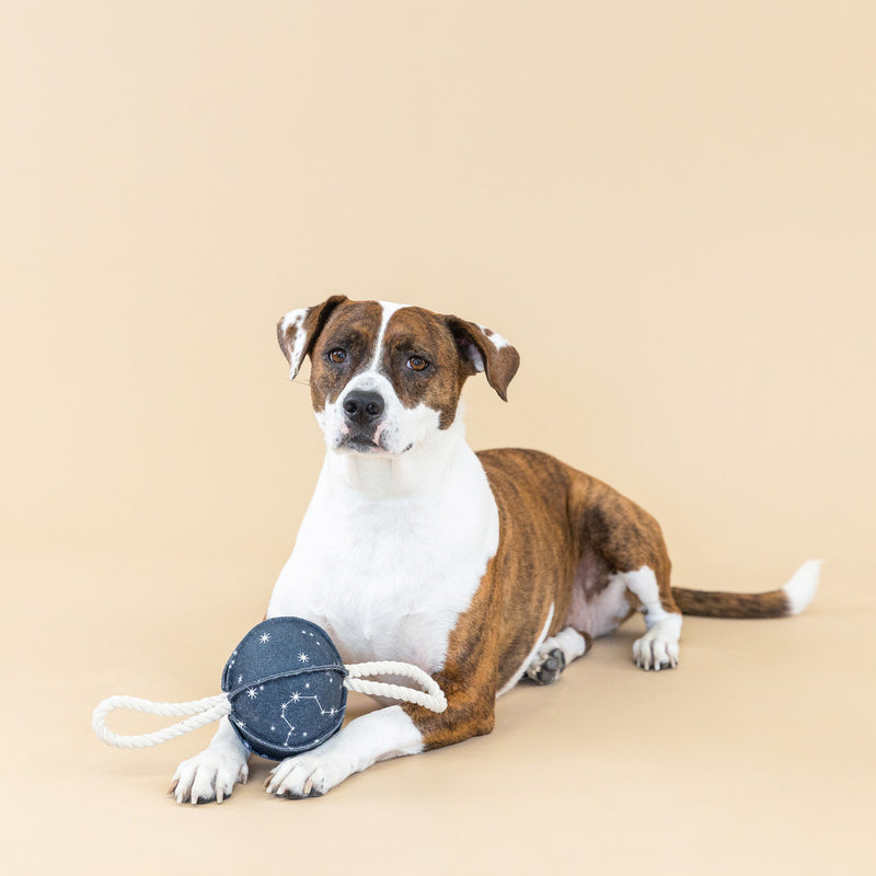 Petshop By Fringe Studio Pulling You In Celestial Canvas Dog Toy