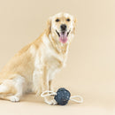 50% OFF! Petshop By Fringe Studio Pulling You In Celestial Canvas Dog Toy