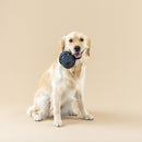 50% OFF! Petshop By Fringe Studio Pulling You In Celestial Canvas Dog Toy