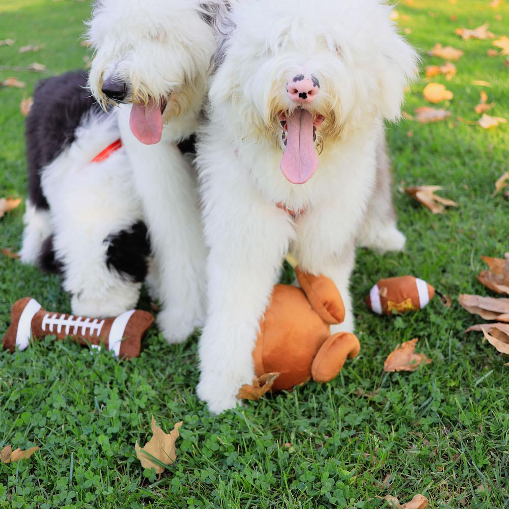 Lulubelles Football Bone Power Plush Squeak & Crinkle Dog Toy: 2 Sizes