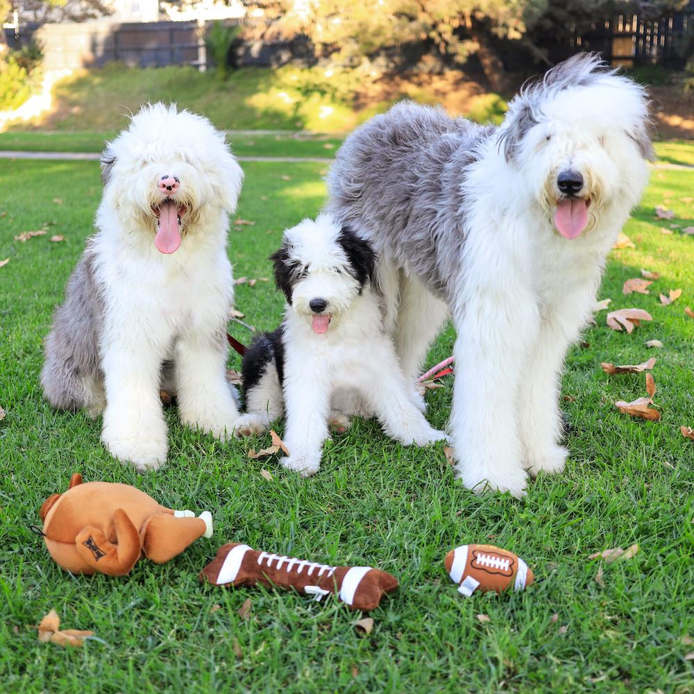 Lulubelles Football Bone Power Plush Squeak & Crinkle Dog Toy: 2 Sizes